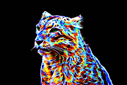 Colorful leopard XII
