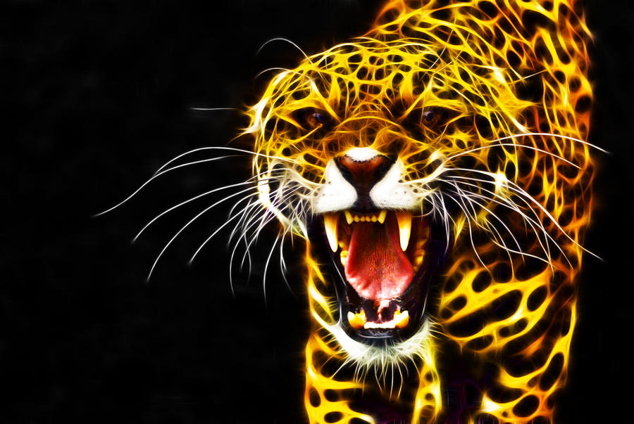 Angry Predator Angry Predator by megaossa on DeviantArt
