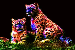 Colored Leopards