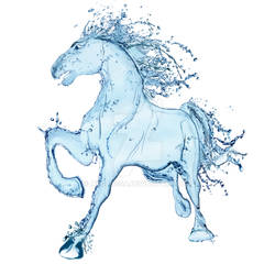 Water horse III