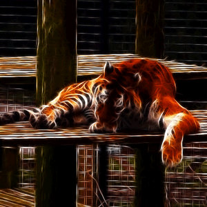 Fractalius Tiger Animation