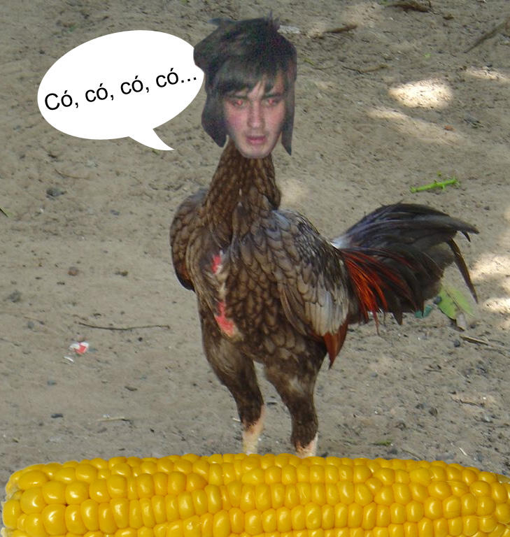 Dramatic chicken by randomicidades on DeviantArt