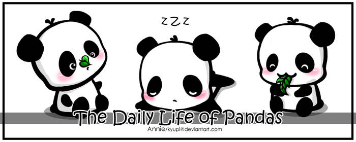 Daily Life of Pandas