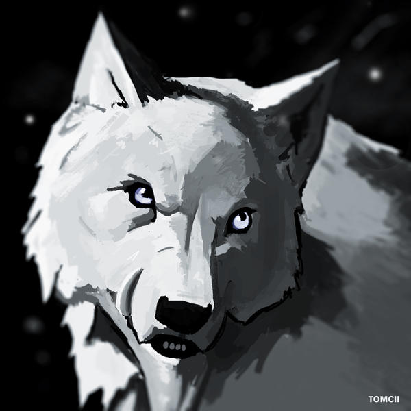 Blue Wolf by Tom-Cii