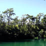 Green Lagoon - Day 1
