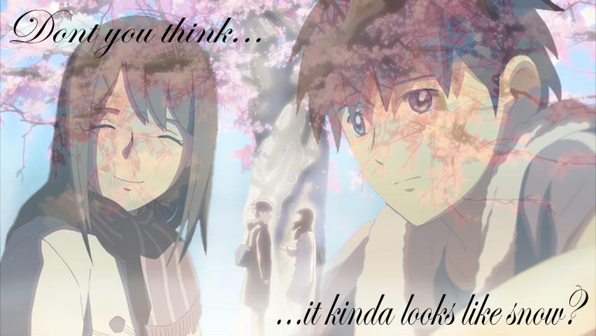 5cm Per Second Wallpaper By Babemroze On Deviantart 5cm Per Second Wallpaper By Babemroze On Deviantart