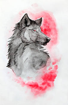 the black wolf