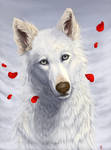 Red petals by wolf-minori