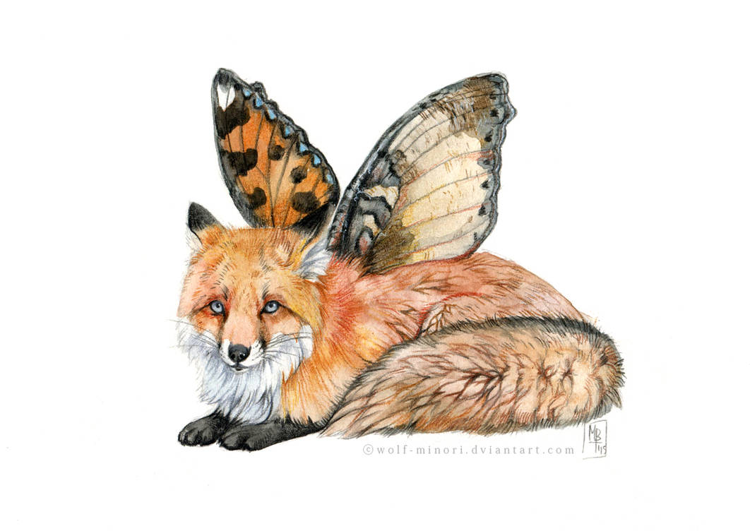 FlyFox by wolf-minori on DeviantArt