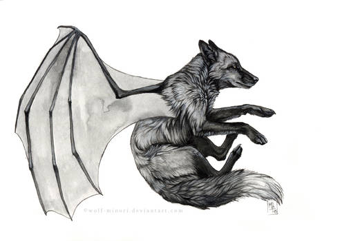 Bat Fox