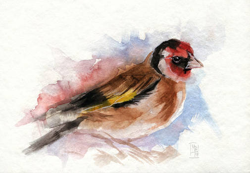 Goldfinch