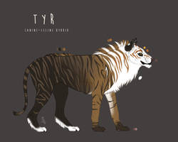 Tyr reference sheet