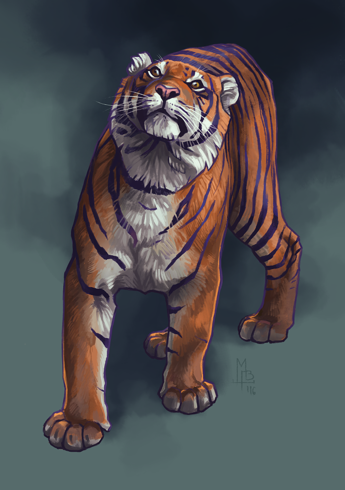 Tiger practice by wolf-minori on DeviantArt