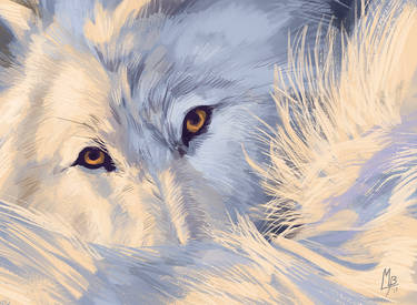 Wolf photostudy I