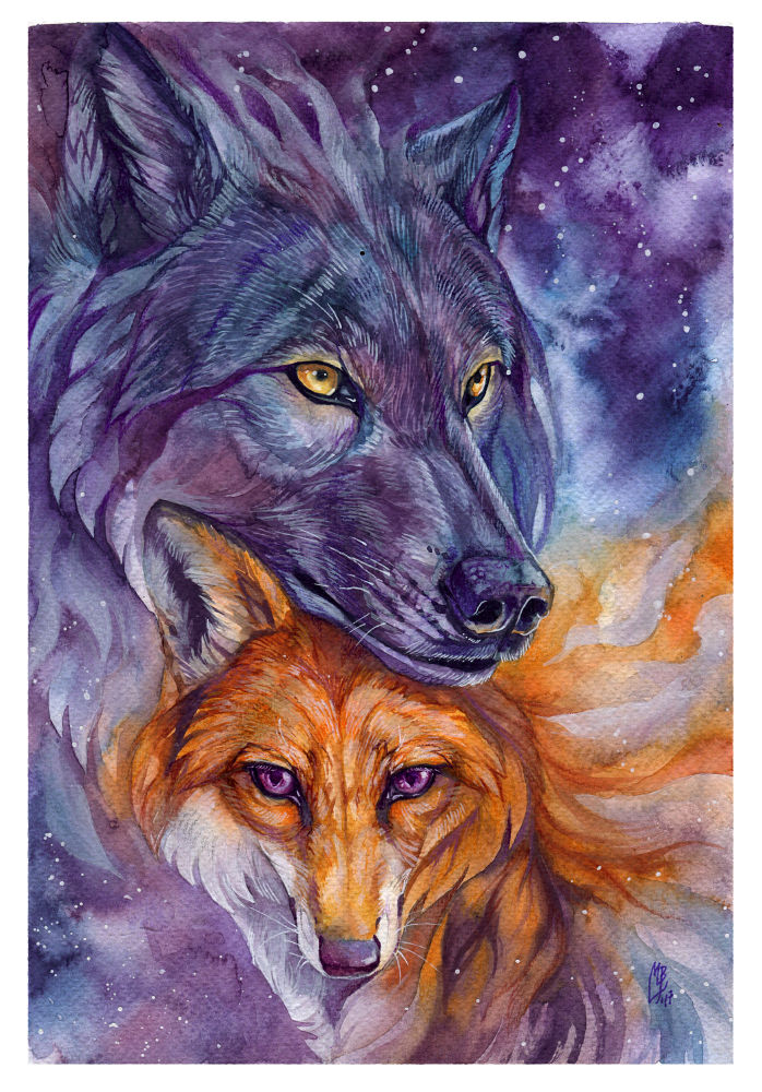 Рисунки лисов и волков. Волк и лиса. Лиса. Лис и волк. Волк рисунок.