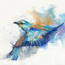 Flying splash