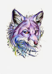 Lavender fox