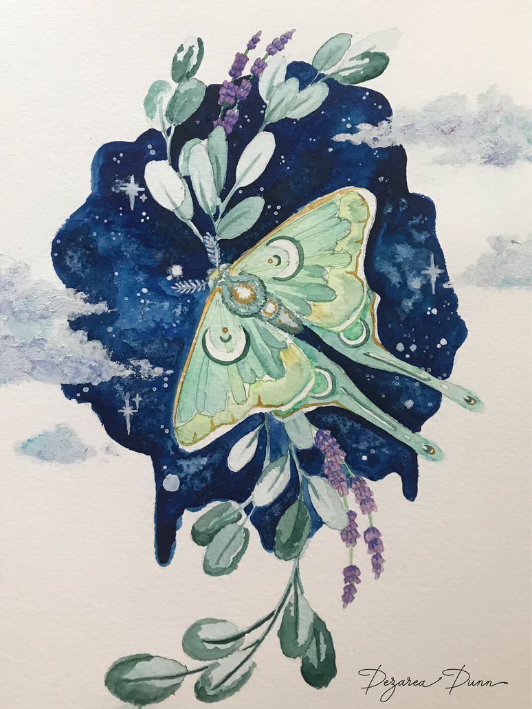 Luna Moth Rendition In Watercolor By Dezareadunn On Deviantart Luna Moth Rendition In Watercolor By Dezareadunn On Deviantart