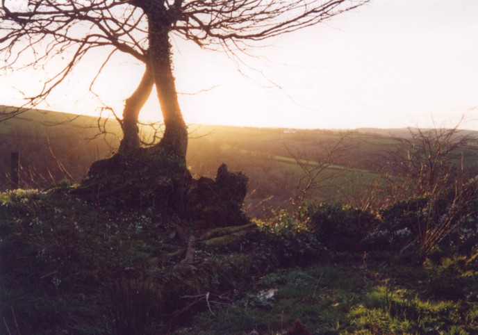 Devon Sunset