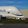 Beluga XL First visit