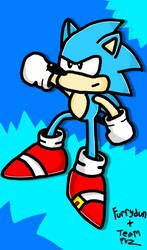 Sonic the hedgehog