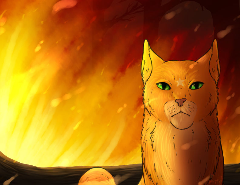 Firestar Warrior Cats by AbagailFlare on DeviantArt