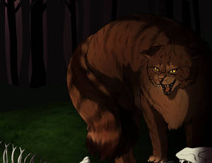 TigerStar Warrior cats