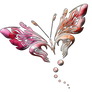 PNG-Butterfly-2