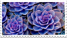 Plant Stamp 3