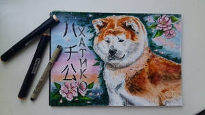 Hachi