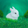 white bunny in grass