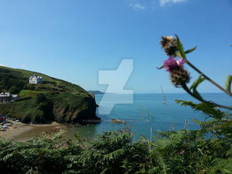 Llangrannog, Wales