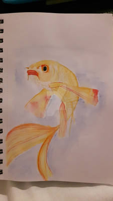 GoldFish