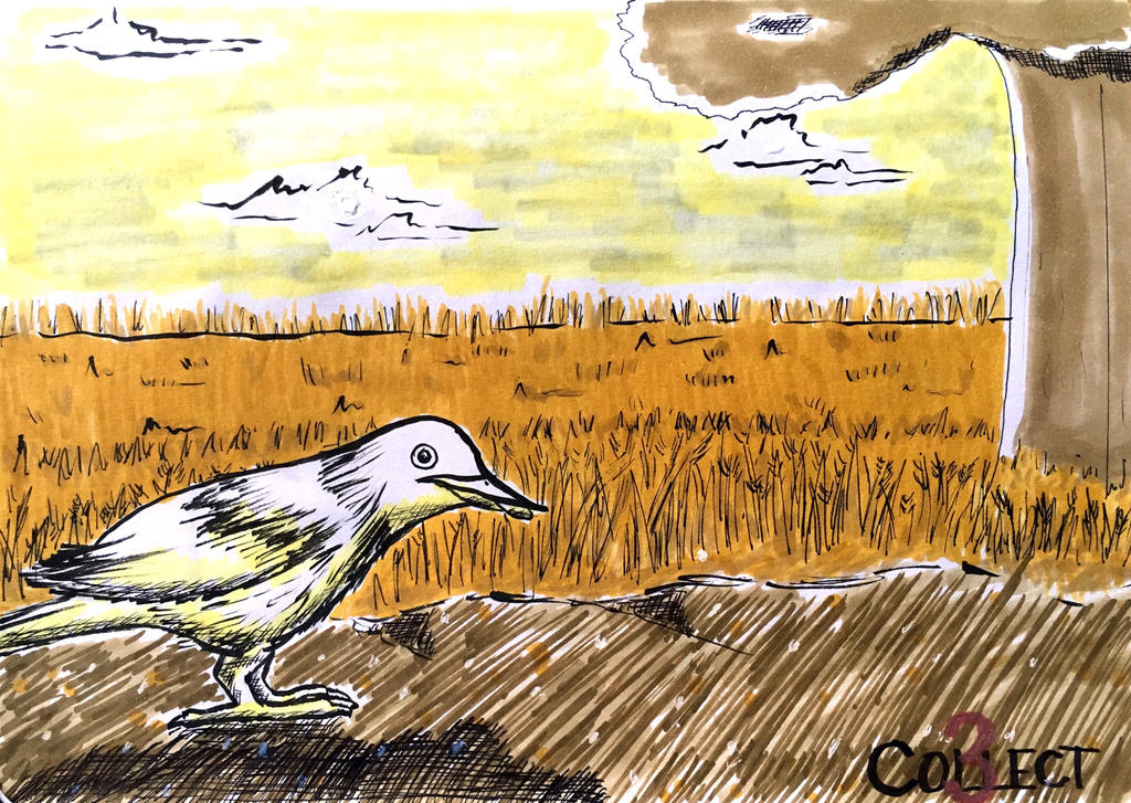 Inktober 3 - Collect