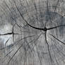 texture 14
