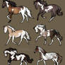 Natural Horse Adopts - CLOSED