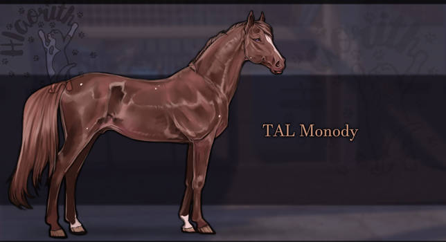 Sheikabian Stallion - #0118 ILA Monody