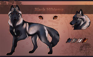 Character Auction: Black Hibiscus - CLOSED