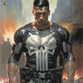 the punisher marvel