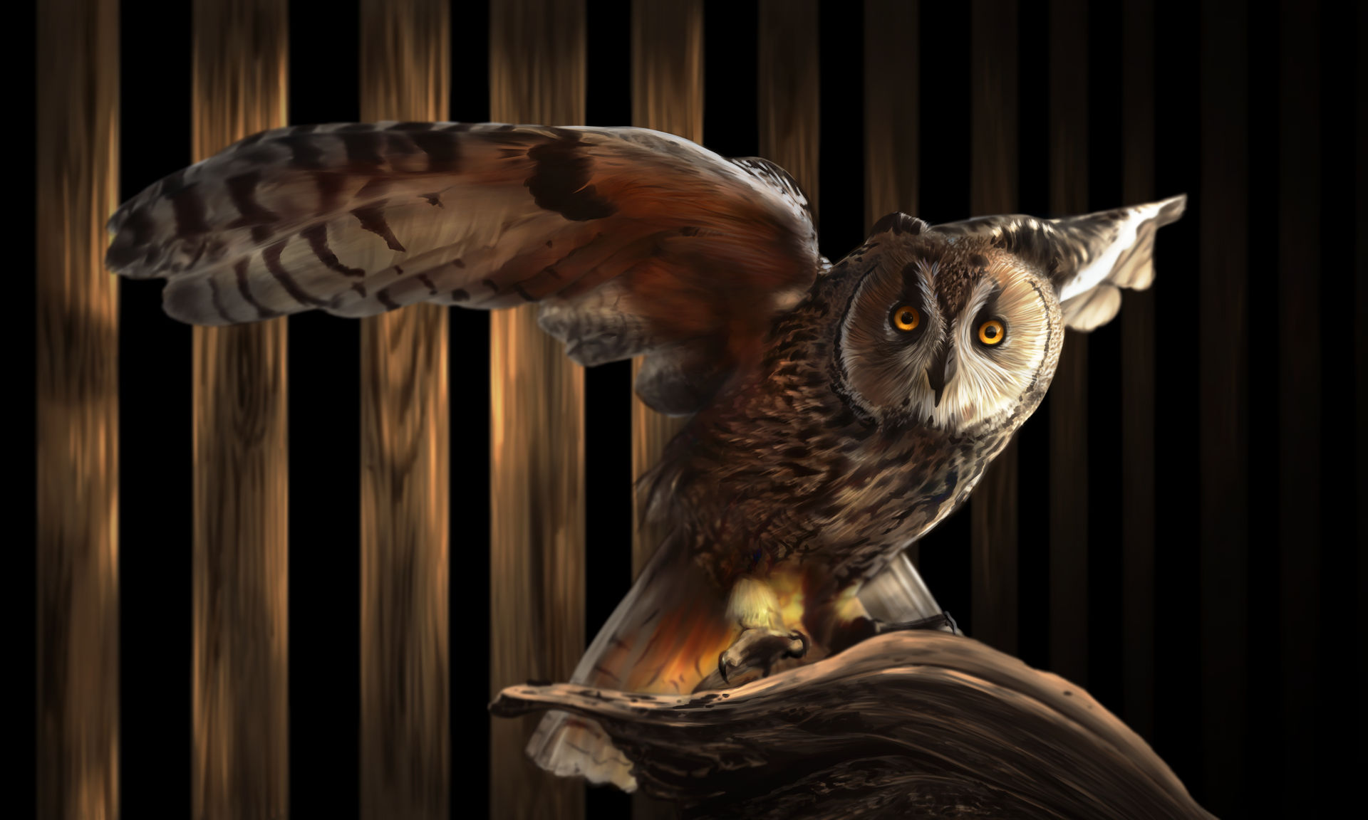 Owl by VinnyDio on DeviantArt