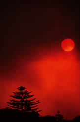 Blood Red Sun