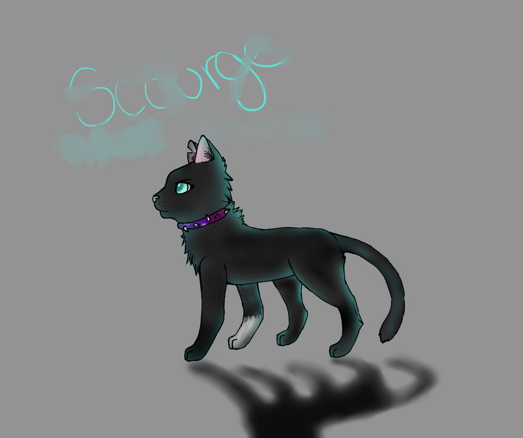 Scourge