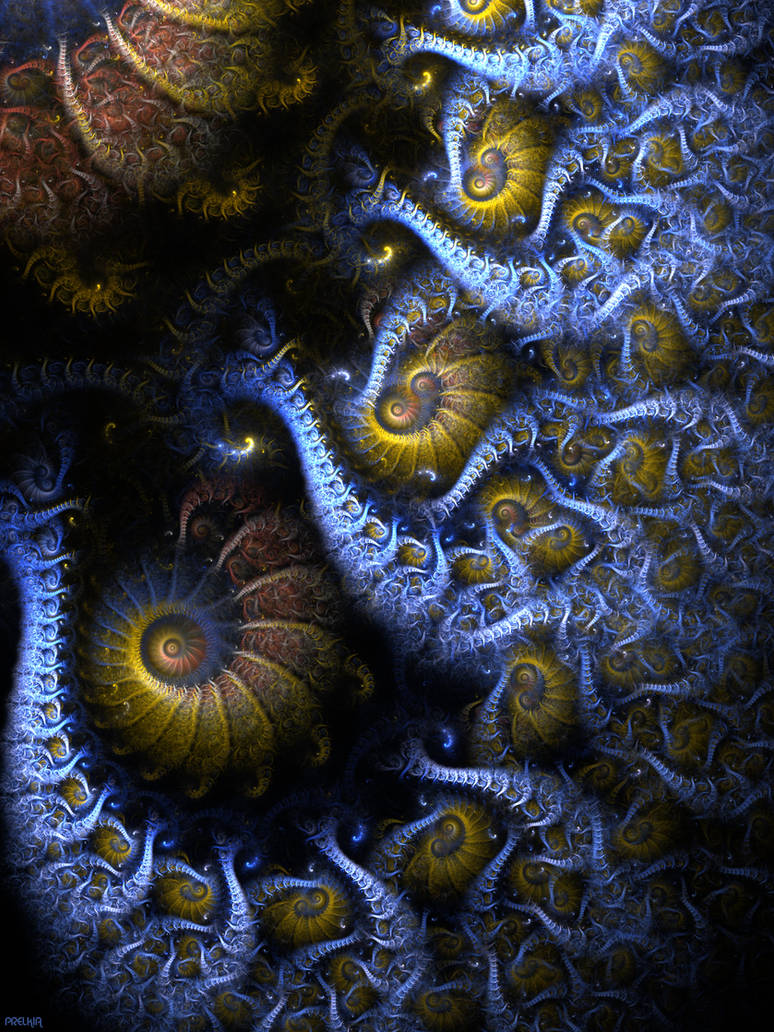 Scolopendra by Prelkia on DeviantArt