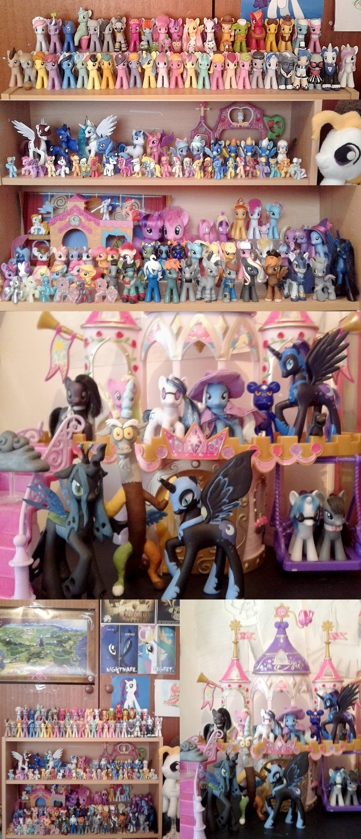 EQD Collection Contest Entry