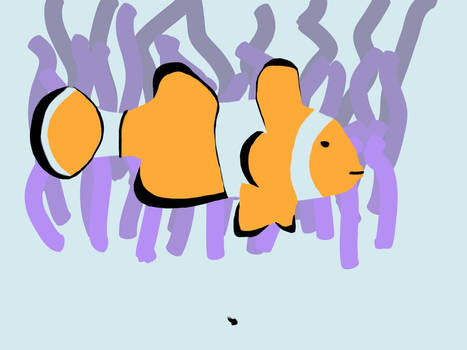 Orange challenge - clown fish