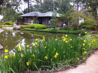 Japanese tea house