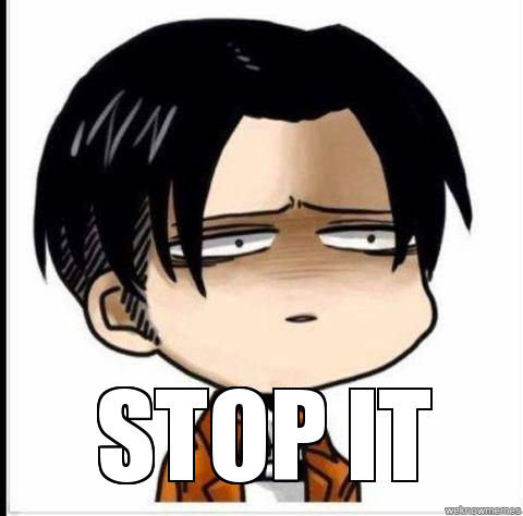 Levi`S Meme by Emily0099 on DeviantArt