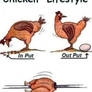 chicken funny