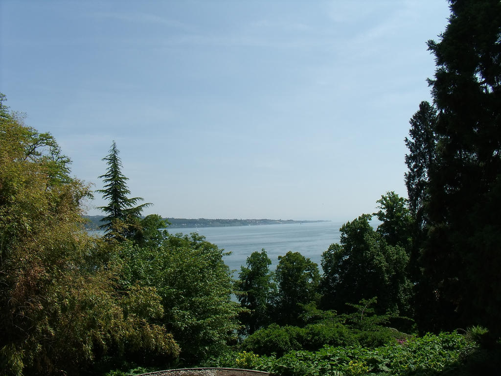 View on the Bodensee