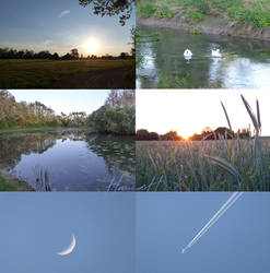 Short evening walk